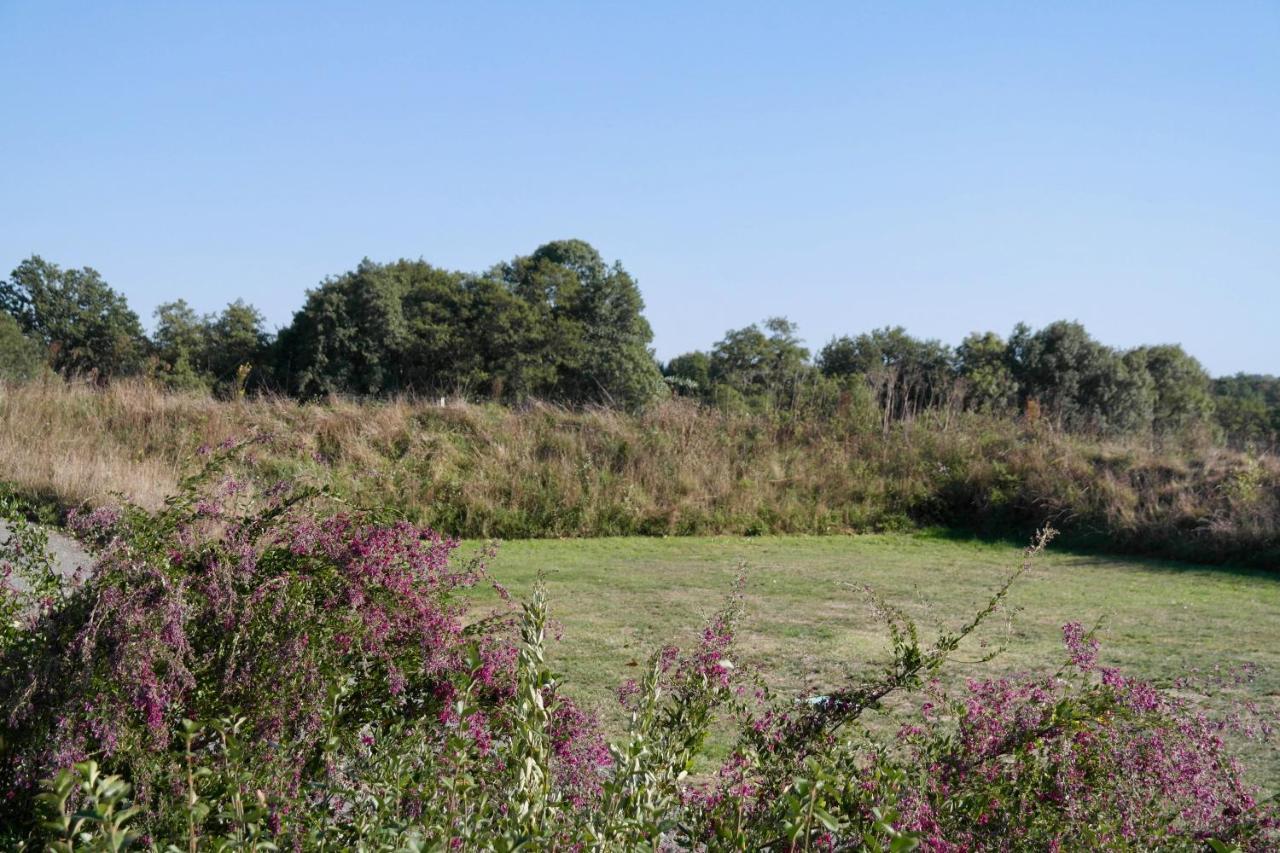 Maison Pour 4 A La Campagne Avec Piscine Commequiers Kültér fotó